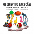 Kit Brinquedos Mordedores para Cachorro Filhote Anti-stress