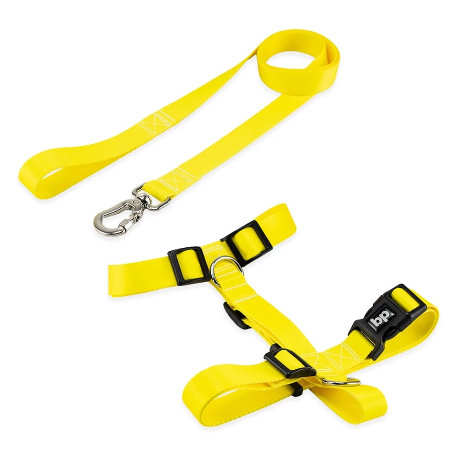 Kit Peitoral H + Guia Pet 1,30m