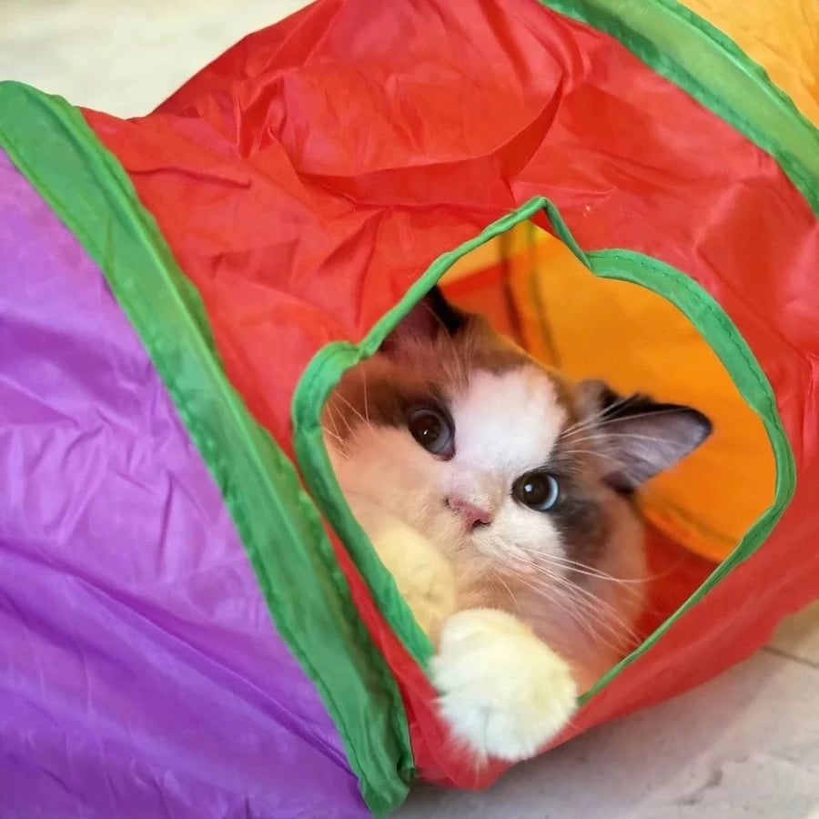 Túnel Interativo para Gatos | Dobrável, Resistente e Antiestresse