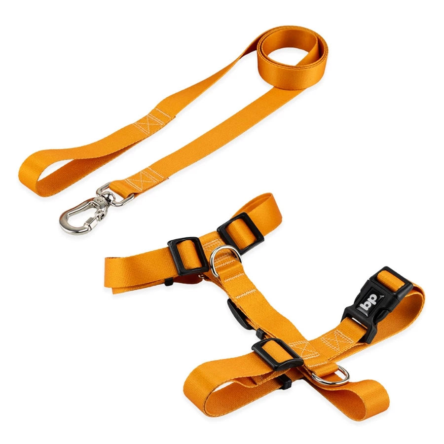 Kit Peitoral H + Guia Pet 1,30m