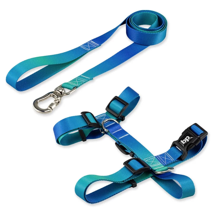 Kit Peitoral H + Guia Pet 1,30m