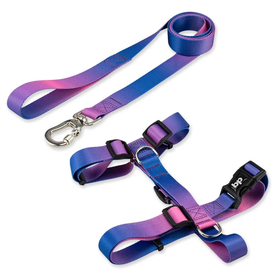 Kit Peitoral H + Guia Pet 1,30m