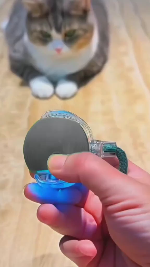 Bola Inteligente Interativa para Pets Recarregável USB