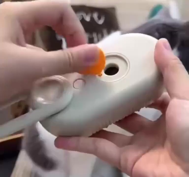 Escova a Vapor Removedora de Pelos Pet com USB
