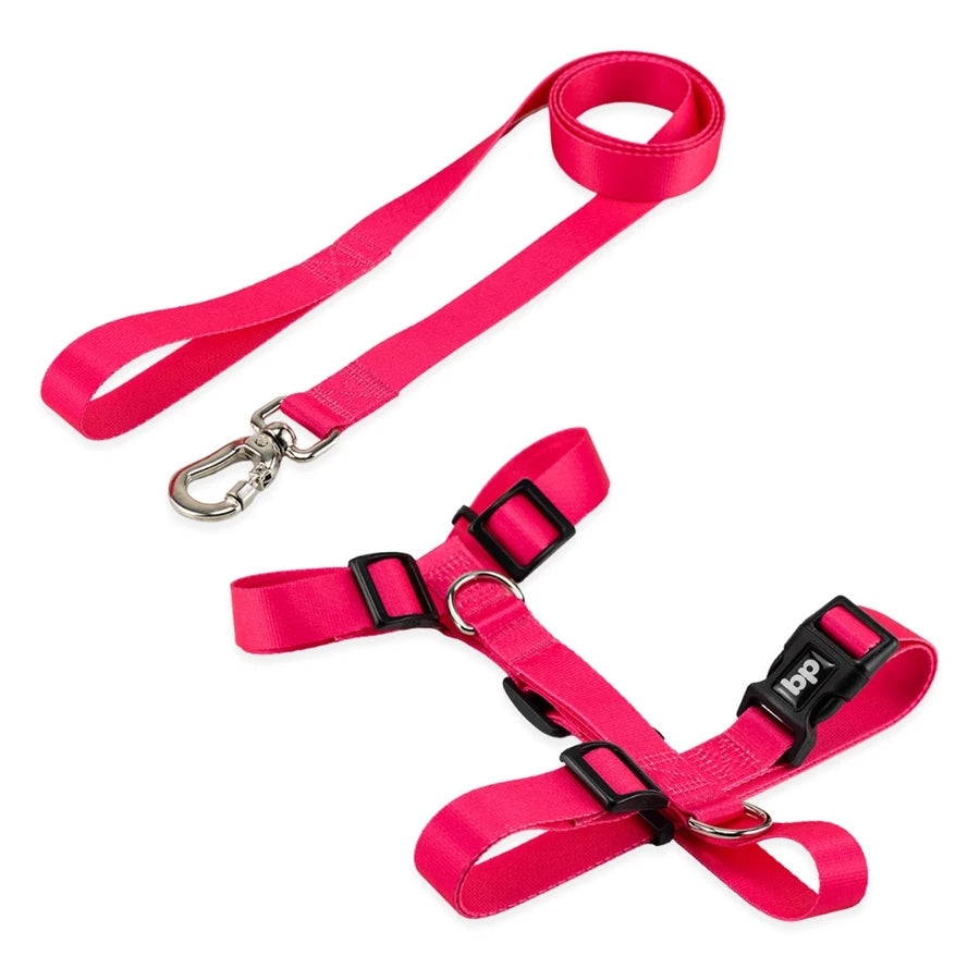 Kit Peitoral H + Guia Pet 1,30m