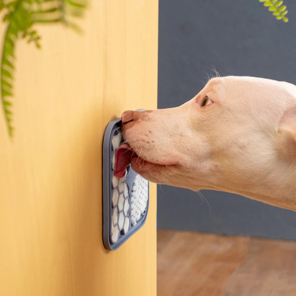 Tapete de Lamber para Pets com Ventosa Anti Estresse Alimentação Lenta