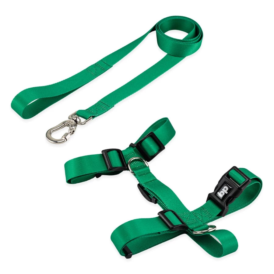 Kit Peitoral H + Guia Pet 1,30m