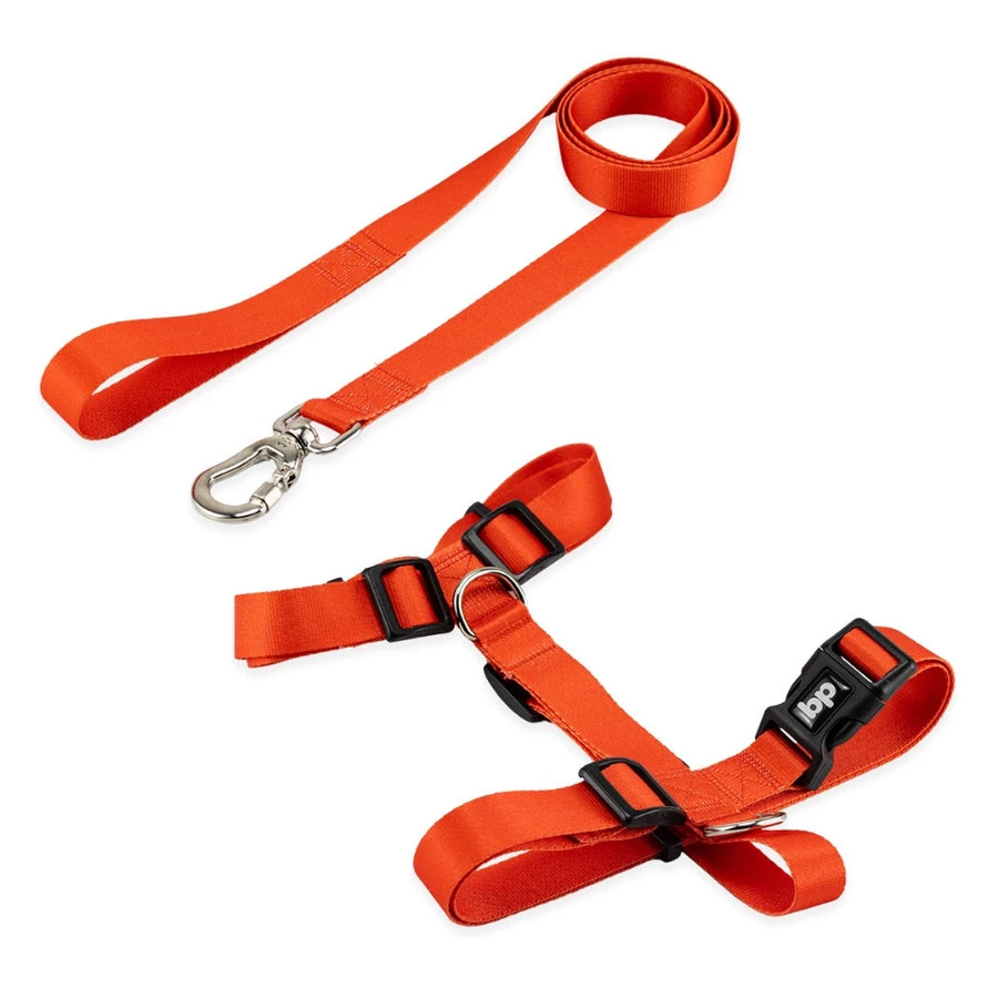 Kit Peitoral H + Guia Pet 1,30m